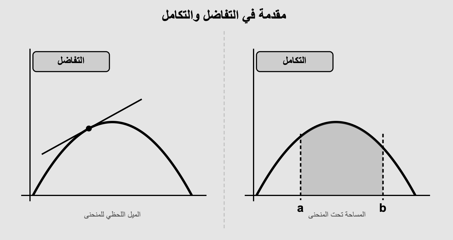 مقدمة في التفاضل والتكامل